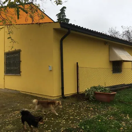 بيت خشبي House
